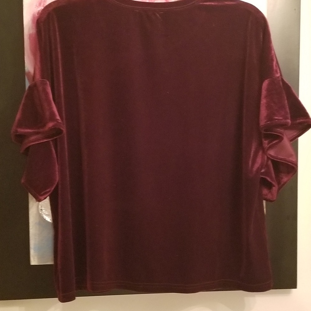 Elegant Velvet Blouse